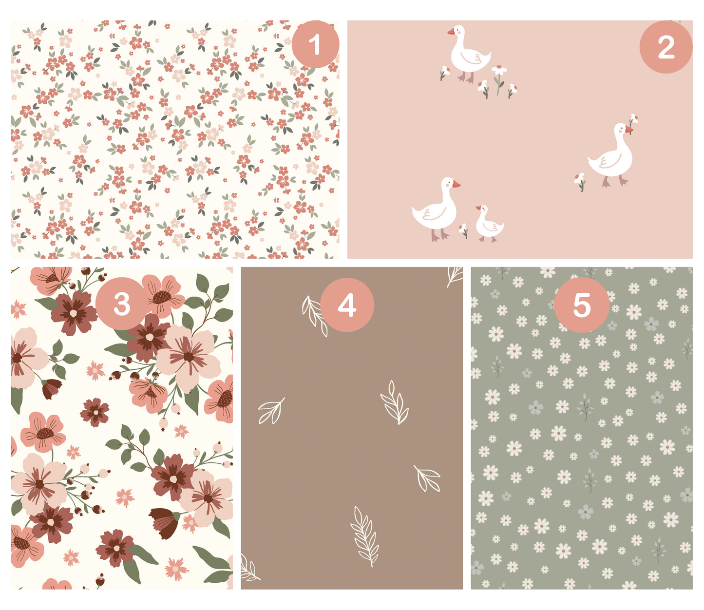 January Undies Pre-Order (5 Pairs)